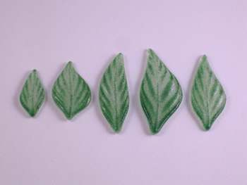 Assorted Small Leaves