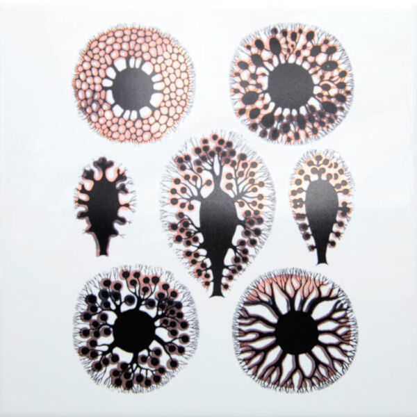 Copper and Black Sea Anemone Decals Sheet