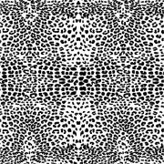 Etched Leopard Pattern