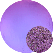 cbs-dichroic-coating-crinklized-purple-on-thin-black-coe96-sku-15521-881x881.png