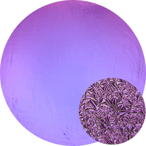 cbs-dichroic-coating-crinklized-purple-on-thin-clear-glass-coe90-sku-6653-883x883.png