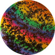 cbs-dichroic-coating-rainbow-2-splatter-pattern-on-thin-black-glass-coe90-sku-155182-541x541.png