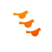 Precut Mini Bird Orange Pack of 3 COE96