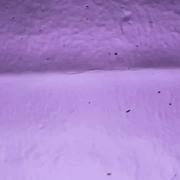 Wissmach Glass Medium Violet Transparent, 3mm COE96